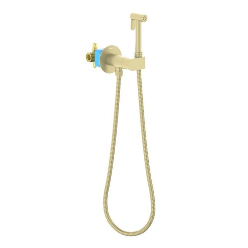 AQ1024BG ОБЕРОН комплект для гигиенического душа встроенный