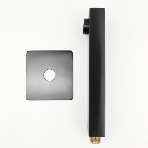 Излив PAINI Grazia 21PZ430PL, черный брашированный PVD (PZ) Излив PAINI Grazia 21PZ430PL, черный брашированный PVD (PZ)