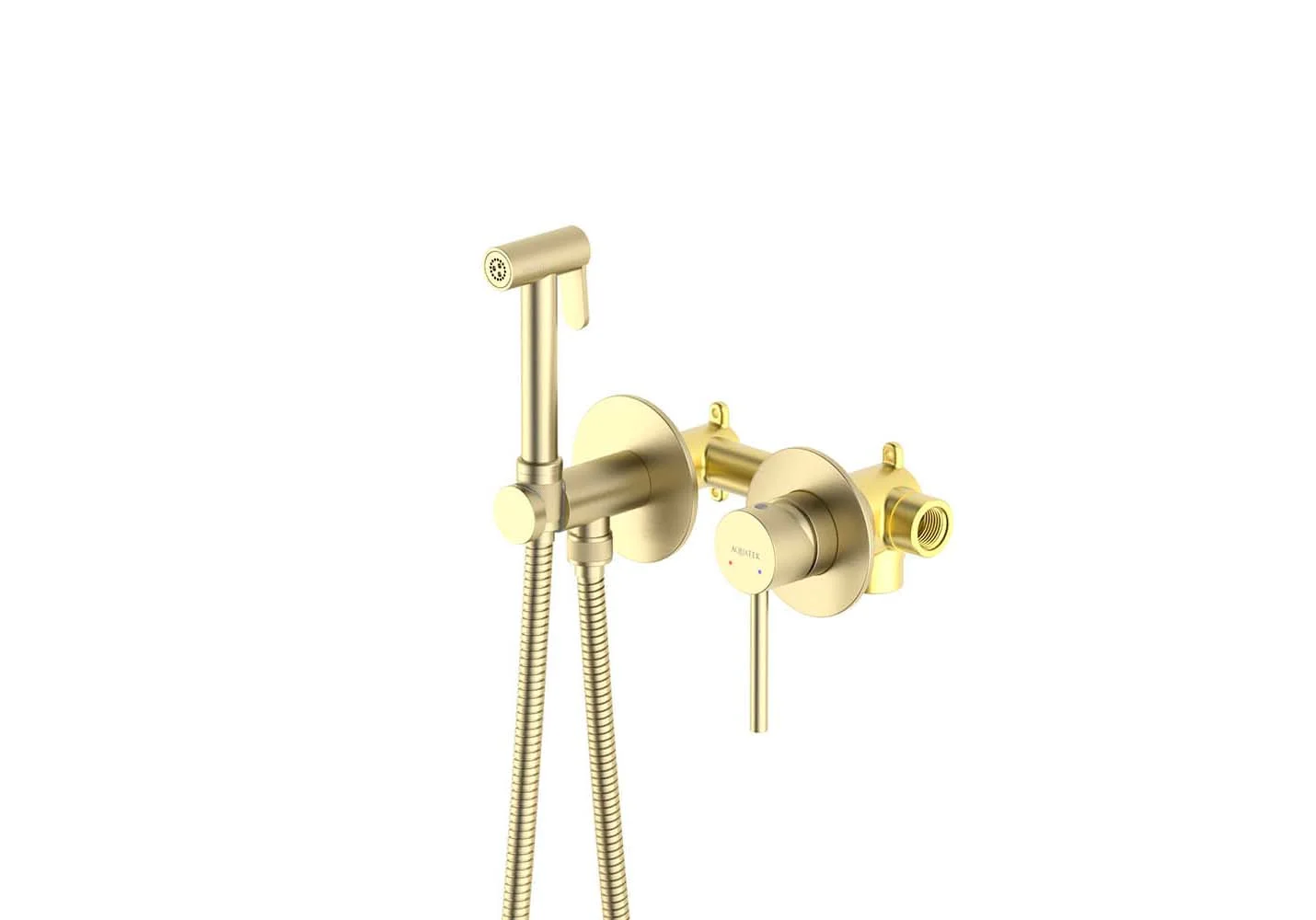 AQ1319BG ЕВРОПА комплект для гигиенического душа встроенный 2 отв.