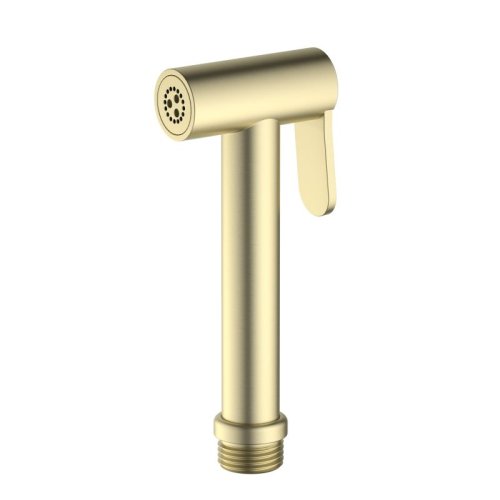 AQ2057BG гигиенический ручной душ, шлиф. золото