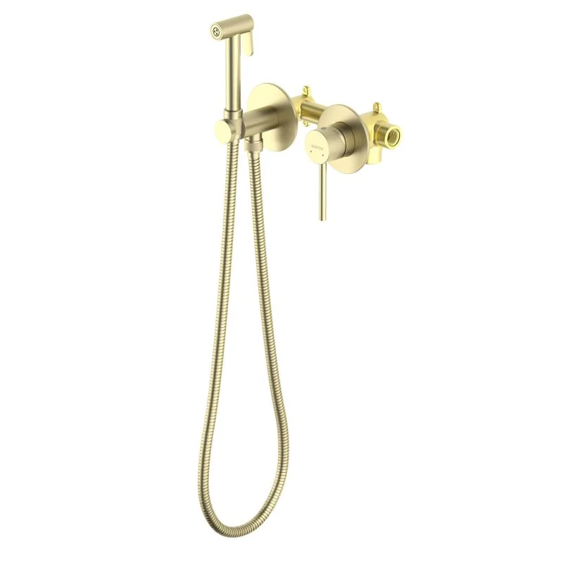 AQ1319BG ЕВРОПА комплект для гигиенического душа встроенный 2 отв.