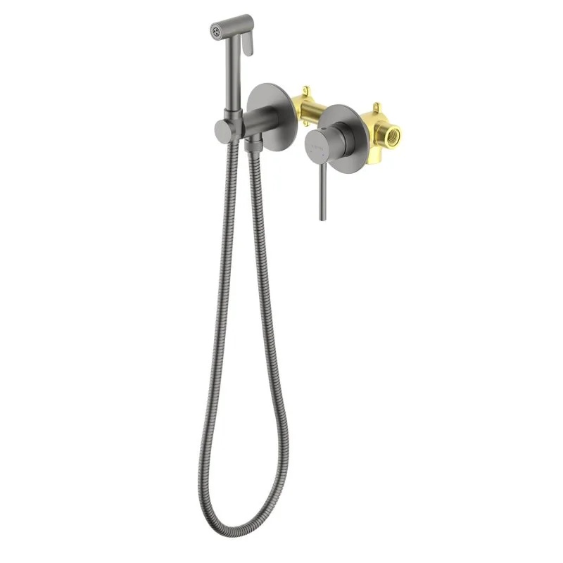 AQ1319BGM ЕВРОПА комплект для гигиенического душа встроенный 2 отв.