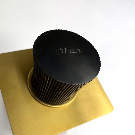 Смеситель для душа PAINI Domus 18PJ690PZ встраиваемый, брашированное золото PVD (PJ) Смеситель для душа PAINI Domus 18PJ690PZ встраиваемый, брашированное золото PVD (PJ)