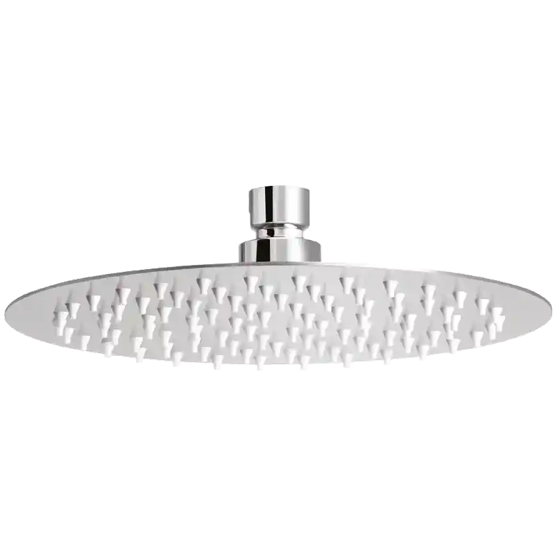 Душевая головка RAINY DELABIE 708040