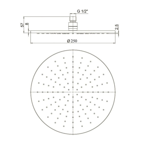 Верхний душ PAINI 50PW759TT25 круглый 250 мм, латунь, брашированный никель PVD Верхний душ PAINI 50PW759TT25 круглый 250 мм, латунь, брашированный никель PVD