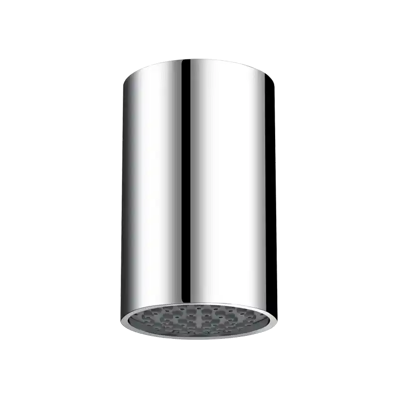 Душевая головка RAINY DELABIE 708030