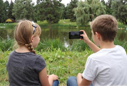 Экологическая телевизионная школа