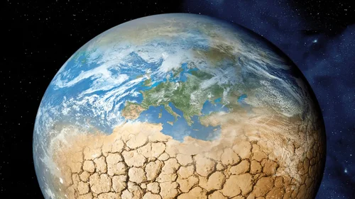 Как нам живется в тепличных условиях