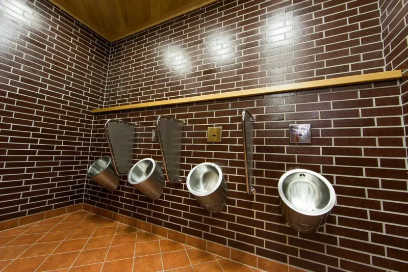 Писсуар Sanela SLPN 06 (91060)