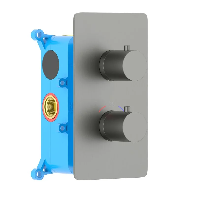 AQ1391BGM ЕВРОПА термостатический смеситель для душа (внешняя и скрытая часть), оружейная сталь