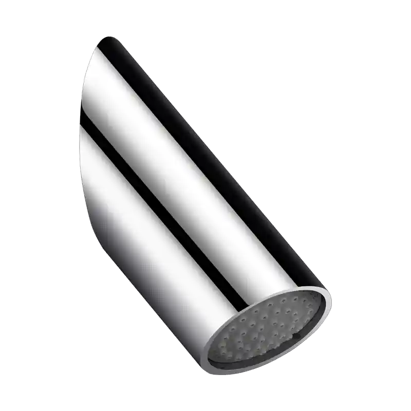 Душевая головка RAINY DELABIE 708000