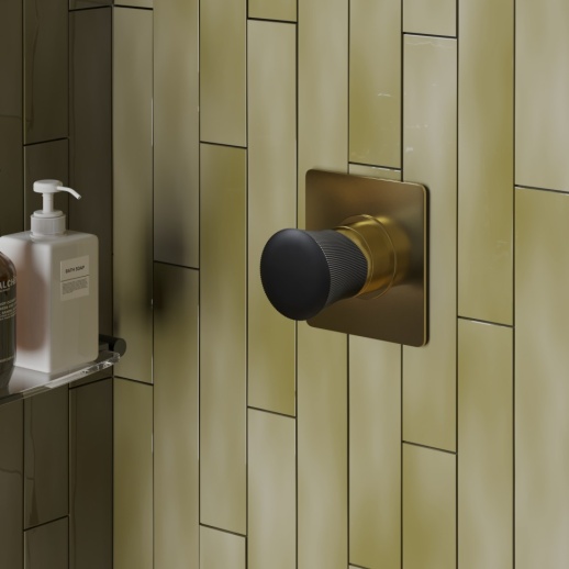 Смеситель для душа PAINI Domus 18PJ690PZ встраиваемый, брашированное золото PVD (PJ) Смеситель для душа PAINI Domus 18PJ690PZ встраиваемый, брашированное золото PVD (PJ)