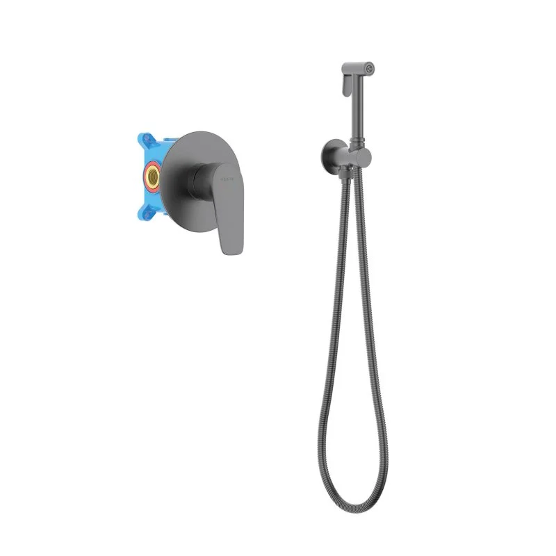 AQ1119BGM БЕТТА набор с гигиеническим душем, оружейная сталь