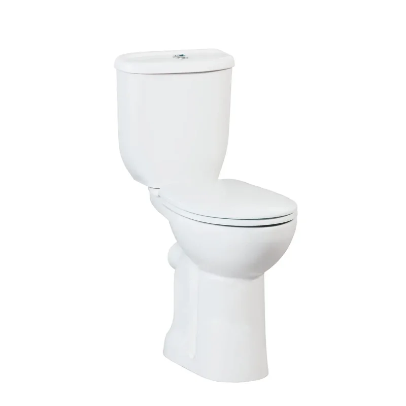 CREAVIT Унитаз для инвалидов с биде BD315-00CB00E-0000