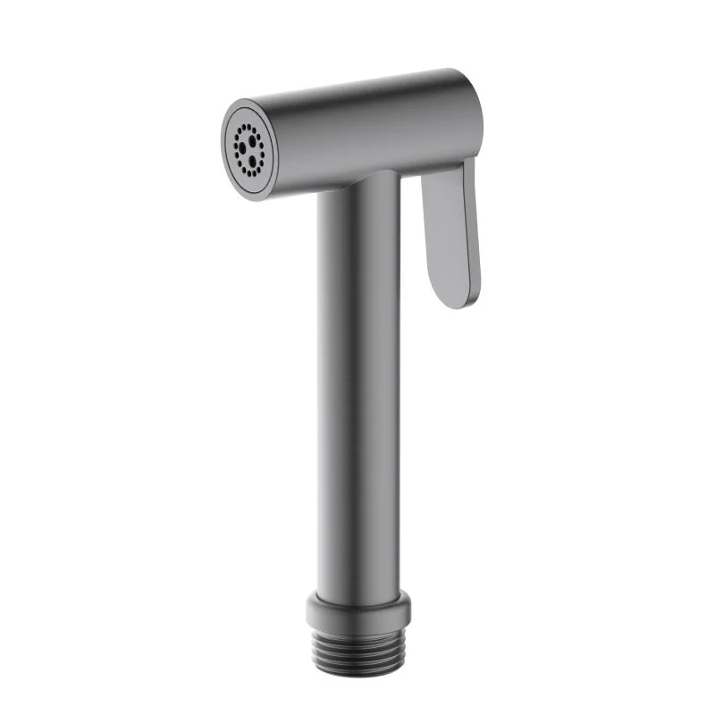 AQ2057BGM гигиенический ручной душ, оружейная сталь