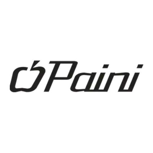 PAINI