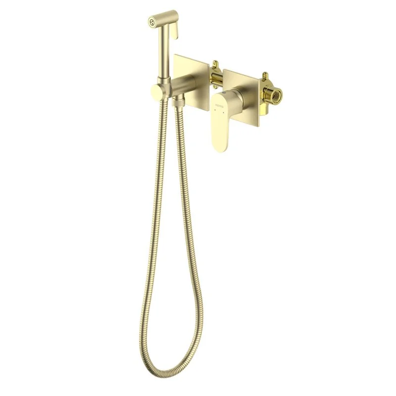 AQ1220BG ОБЕРОН комплект для гигиенического душа встроенный 2 отв.