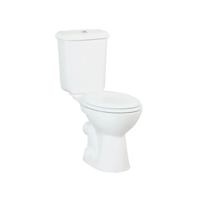 CREAVIT PITTA Унитаз с биде PA310.00000