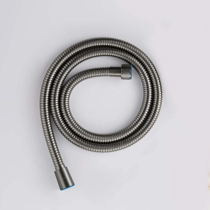 AQ2103BGM шланг для душа 120 см нержавейка, оружейная сталь