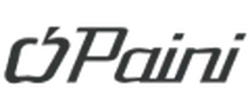Paini