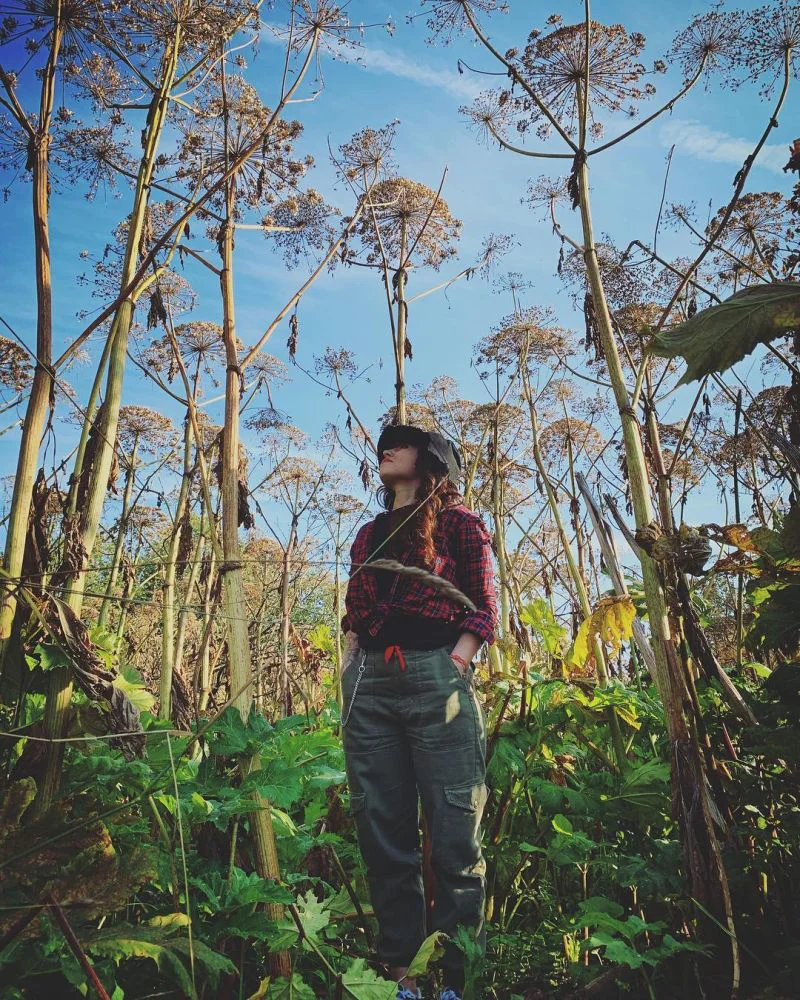 Род Борщевик