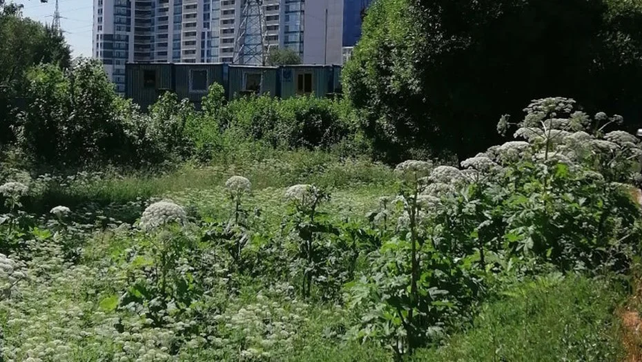 А дальше случились 90-е