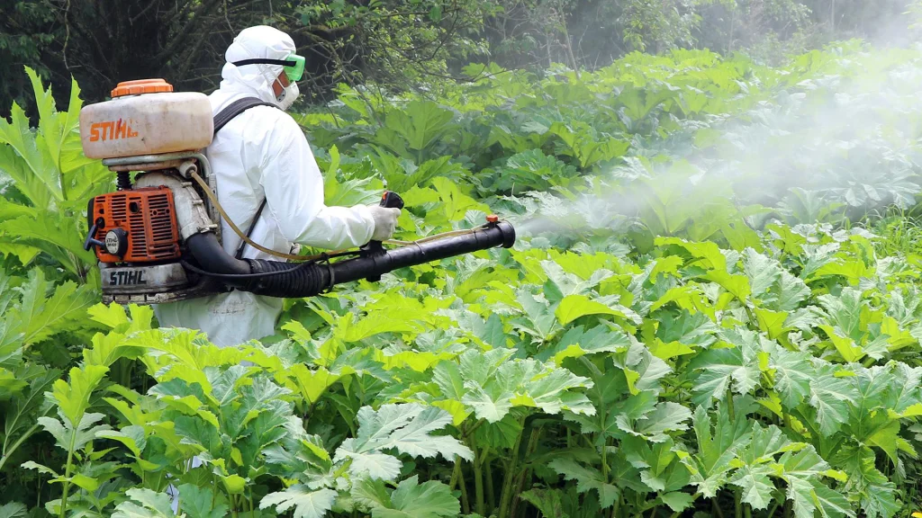 Остается надеяться