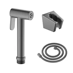 AQ2054BGM гигиенический ручной душ со шлангом 120 см и держателем, оружейная сталь