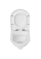CREAVIT SELIN Унитаз подвесной SL320-11CB00E-0000